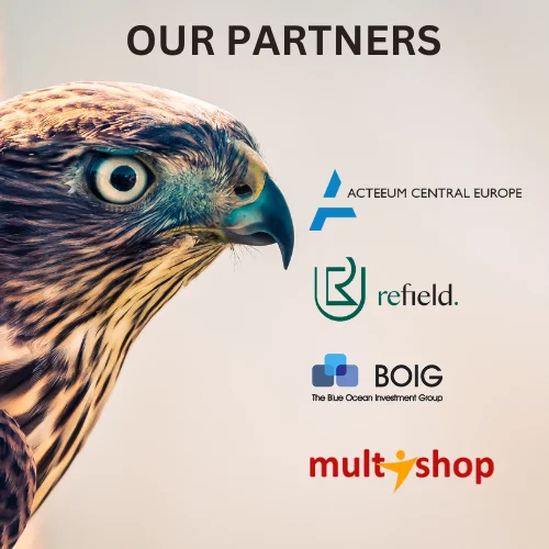 The Falcon Finance Launch: The Shocking Debut and the Technology We Can't Ignore