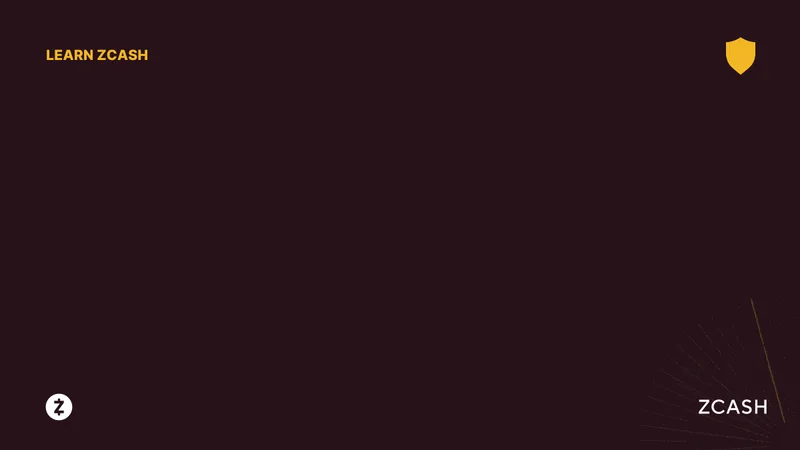 That Zcash Price Pump: What's Really Going On vs. What Reddit Thinks