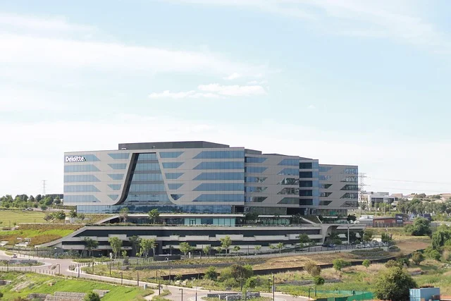 johannesburg: trump's refusal and jacaranda blooms