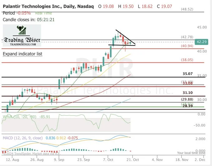 pltr stock price: Wedbush's target vs. reality and what's behind the hype