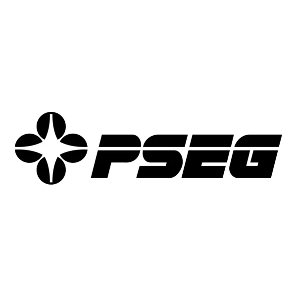 PSEG Appoints New Government Affairs VP: An Analysis of the Strategic Implications