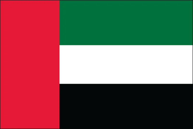 UAE in Sudan: What's Really Going On?